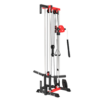Appareil d'entraînement complet multifonctionnel mural Flybird en acier de haute qualité pour exercices de traction dorsale intégrale