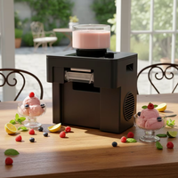 Machine à glaçons électriques en forme de flocon de neige pour usage domestique, sans sucre, glace instantanée en 60 secondes, multifonction, taille compacte, facile à nettoyer