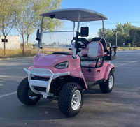 Pièces de voiturette de golf électrique 48V 120A couleur rose 4 places avec batterie au lithium, kits de carrosserie pour buggy de golf et dune buggy
