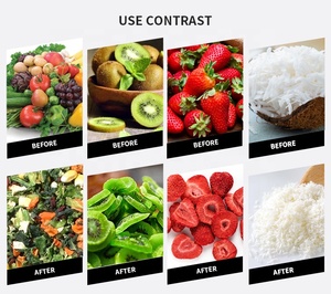 Machine de lyophilisation GYFD-<span class=keywords><strong>2</strong></span> avec PLC et pompe, <span class=keywords><strong>2</strong></span> zones de séchage, matériau SUS304 pour la transformation des aliments et des légumes - Product Image 5