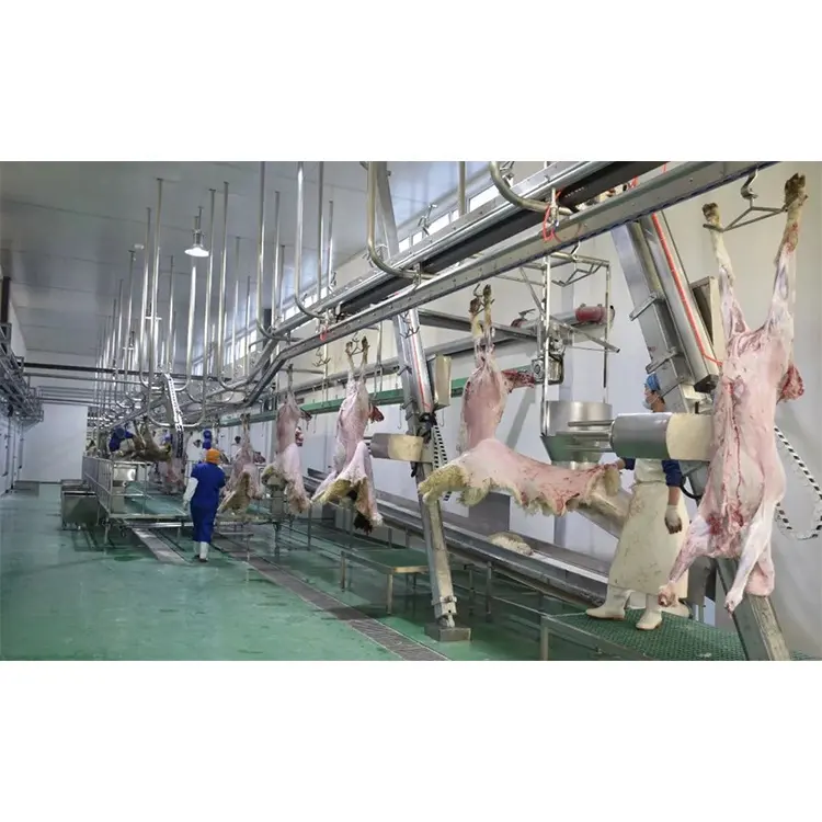 Mesin rumah pemotongan domba Halal, perlengkapan Abattoir domba mesin Frais kambing