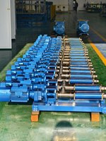 Pompe à vis simple/pompe à boue série Netzsch/Seepex/Mono, standard, qualité alimentaire, en acier inoxydable SS316, résistante à l'usure