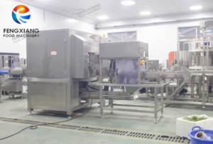 Machine à peler les ananas Fengxiang, certifiée CE, énorme processeur de fruits automatique pour la préparation des ananas de Malaisie - Product Image 6