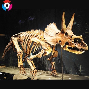 Khủng Long hóa thạch mô hình cho trẻ em trong nhà vui chơi giải trí cho công viên phiêu lưu trung tâm mua sắm nơi công cộng sân bay Chăm sóc ban ngày sử dụng - Product Image 3