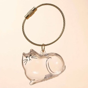 Cápsula Transparente para Guardar Pelo de Gato, Gashapon, Colgante Conmemorativo para Coche, Llavero, Venta al por Mayor - Product Image 2