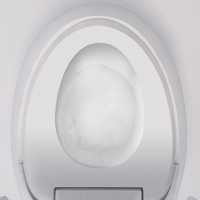 Vaisselle sanitaire Toilette intelligente en forme d'œuf Toilette automatique de luxe pour œufs Auto-nettoyante Nouveau design Commode de toilette en forme d'œuf pour salle de bains