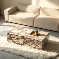 Table basse en marbre Palissandro de style moderne et luxueux pour la décoration de la maison, salon, hôtel, bar, café