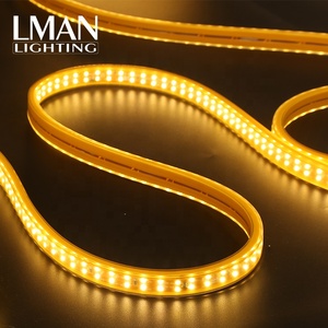 Striscia LED Flessibile in PVC di Alta Qualità, Impermeabile IP65, Doppia <span class=keywords><strong>Linea</strong></span> SMD2835, Certificata ETL, AC110V/220V - Product Image 2