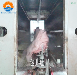 Équipement commercial de dépilatoire automatique haute capacité pour têtes de porcs – Machine de ligne d'abattage pour abattoirs de porcs - Product Image 5