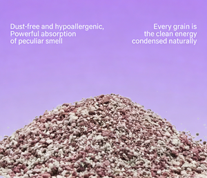 ทรายแมวประสิทธิภาพสูงสำหรับสุขอนามัยของแมว จับตัวเป็นก้อนเร็ว ควบคุมกลิ่น ไร้ฝุ่น 99% ดูดซับดีเยี่ยม ทรายบดละเอียด - Product Image 3