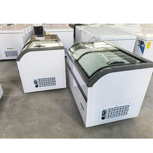 Gran oferta, helado de pescado, doble puerta de vidrio, pantalla <span class=keywords><strong>Flash</strong></span>, congelador rápido comercial, nevera, refrigerador, congelador para el hogar - Product Image 5