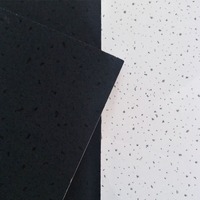 Plaques de plafond en fibres minérales résistantes à l'humidité et aux sons, couleur noire, 2*2, pour cinéma, musée, bureau, restaurant