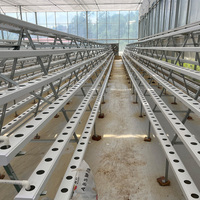 Système hydroponique NFT à économie d'eau pour la culture de légumes en serre agricole commerciale avec canal en tuyau PVC