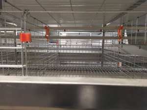 Cages à batterie poulet kayer en fil soudé galvanisé - Product Image 4