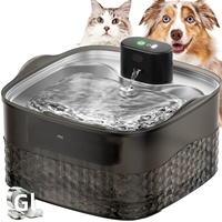 Fontaine à eau portable entièrement automatique pour chats et chiens avec rayons infrarouges, conception détachable, rechargeable, en matériau PC