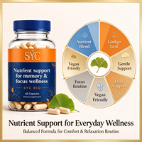 Extrait de Ginkgo Biloba SYC pour améliorer la mémoire et le sommeil, soutenir la santé cérébrale, renforcer l'immunité naturelle, 60 capsules/flacon, usage adulte, OEM