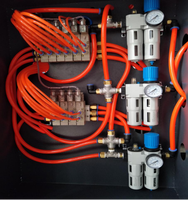 Machine automatique de soufflage de bouteilles en plastique pour animaux de compagnie avec composants principaux Mitsubishi PLC, y compris une vanne haute pression et un moteur