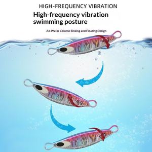 Leurre Artificiel Dur Lumineux pour Pêche en Mer, Plaque de Fer, Plombée, 20g-80g, Imprimée, Longue Portée, pour Bateau - Product Image 4