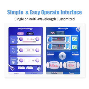 Nuevo Láser de Terapia de Alta Intensidad Clase IV de 30W, 980nm 1064nm, Láser Médico Multifunción para Fisioterapia, Alivio del Dolor Veterinario - Product Image 4