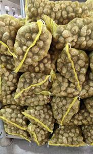 <span class=keywords><strong>Taro</strong></span> Fresco dalla Cina Prezzo di Fabbrica - Product Image 4