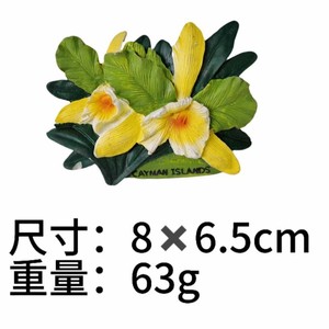 Pegatina para Refrigerador con Diseño de Flor de Hibisco, Recuerdo de Atracciones Turísticas, Pegatina Decorativa Magnética de Resina para Refrigerador - Product Image 2