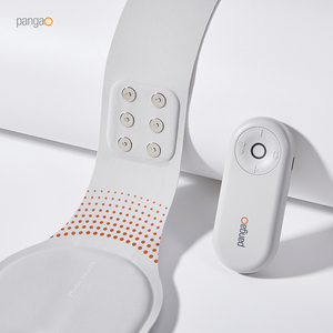 電気加熱深部組織刺激装置10療法Ems腹部バックウエストマッスルマッサージベルトマシン - Product Image 5