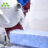 Wonder Gas 10L/20L/30L/50L YDS Type Conteneur d'azote cryogénique Réservoir de stockage d'azote liquide