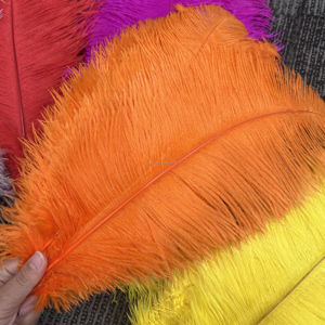 Plumas de Avestruz Naturales Teñidas al por Mayor de 40-45 cm, Multicolores, para Centros de Mesa de Boda, Disfraces de Carnaval y Decoración - Product Image 6