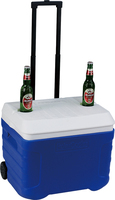 Glacière isotherme à roulettes en mousse PE 41L 2020 avec maintien de la glace pendant 5 jours pour aliments, usage médical et camping