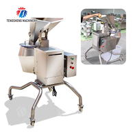 Industriële aardappelsnijmachine voor de productie van frieten met een krachtige motor.