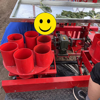 Repiqueuse multifonctionnelle ZWZG, marque de machine à planter le riz à 2 rangs, prix aux Philippines, haute productivité pour l'ananas