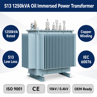Transformateur de puissance immergé dans l'huile triphasé Wanbo-415 Wanbo S13 1250 kVA 10 kV 0,4 kV pour la distribution