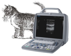 Ecógrafo Portátil Digital en Blanco y Negro SIUI CTS-6600 con Monitor de 15 Pulgadas para Clínicas Veterinarias y Trabajos de Campo - Product Image 1