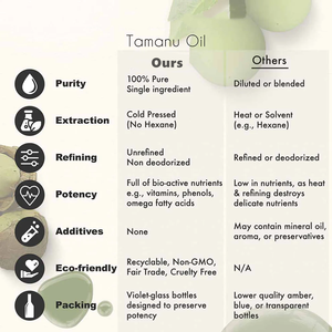 Huile de Tamanu de marque privée sans hexane pour prévenir l'apparition des boutons et réparer les peaux sèches rugueuses huile de Tamanu légère - Product Image 4