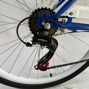 <span class=keywords><strong>Bicicleta</strong></span> de estilo europeo de alta calidad para adultos, <span class=keywords><strong>bicicleta</strong></span> urbana de 7 velocidades para compartir, <span class=keywords><strong>Bicicleta</strong></span> de ciudad para mujeres, bicicletas compartidas para mujeres de 26 <span class=keywords><strong>28</strong></span> <span class=keywords><strong>pulgadas</strong></span> - Product Image 5