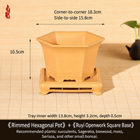Pot en résine de style chinois, carré et hexagonal, pour orchidées Phalaenopsis, 30 cm, utilisation sur bureau, vente directe d'usine