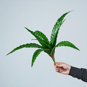 Helecho Artificial Tipo Nido de Pájaro Meng Jie, 30cm-100cm, Planta para Jarrón, Decoración Interior, Arreglo de Mesa Verde - Product Image 3