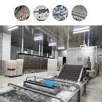 Industriële IQF-snelvriesinstallatie, spiraalvriezer, fluidized-bed snelvriezer, snelvriesruimte, koelapparatuur