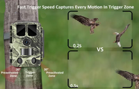 Nouvelle caméra de chasse sans fil 4K avec contrôle par application, connexion Wi-Fi, vision en direct et détection de mouvement pour la surveillance de la faune