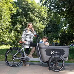 Bici elettrica di alta qualità cargo EPP cargo box Trike mozzo motore elettrico cargo bike triciclo elettrico di moda auto di famiglia elettrica
