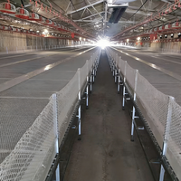 Nouvelle conception de ferme avicole avec système d'élevage automatique en métal et plastique pour poulets, canards, oies et dindes