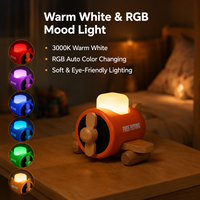 Veilleuse LED en bois en forme d'avion, rechargeable par USB, RGB, à intensité variable, lampe d'ambiance avec contrôle par hélice rotative, logo personnalisé, OEM, vente en gros