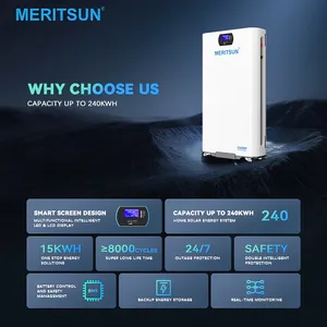 حزمة بطارية ليثيوم أيون Meritsun 15Kwh LiFePO4 بطارية تخزين الطاقة 48V 300Ah