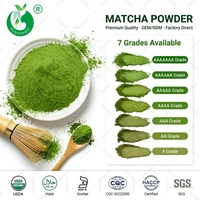 Poudre de Matcha Pur de Qualité Cérémoniale Biologique USDA Pincredit