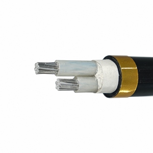 <span class=keywords><strong>Cable</strong></span> Conductor de Aluminio Resistente al Agua, a Prueba de Humedad y Anti-Infiltraciones, Adecuado para Zonas con Redes Hídricas Densas - Product Image 6