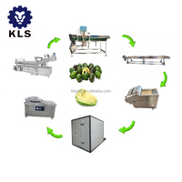 Kls Snelbevroren Avocado Blok Machine Voor De Productie En Verwerking Van Avocadojam Productielijn-Fruit & Groente Machines