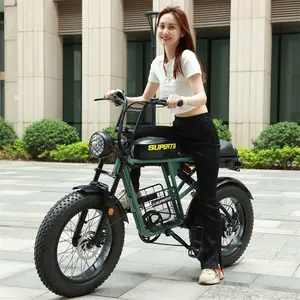 2024 48V Fast High Power 1000W bike fat Tyre off road max speed 55km mileage 60km 15ah 17.5ah 20ah electric bicycle
