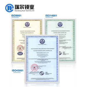 Ruier reb402 bảo mật cao vận chuyển dùng một lần Bolt seal <span class=keywords><strong>container</strong></span> con dấu - Product Image 5