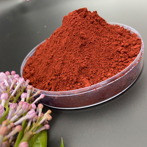 Vente Flash : Pigment de revêtement en poudre d'oxyde de fer (Fe2O3) inorganique pour le ciment - Product Image 3