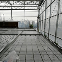 2025 Chine usine tables d'inondation banc roulant de semis plateau de culture supports pour la culture hydroponique